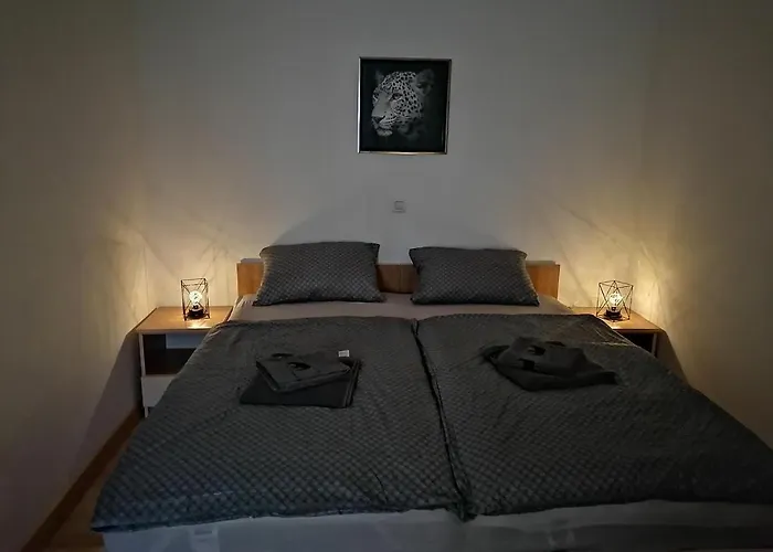 Dujmovic Diklo Zadar